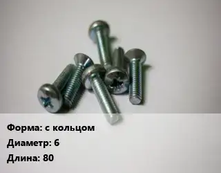 Винт с кольцом 6х80